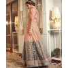 Heavy Net Embroidered Gown In Peach and Grey